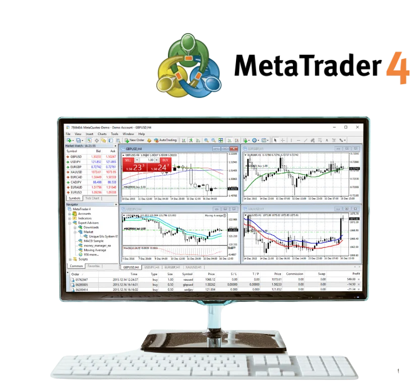 Exness Metatrader 4