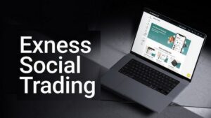 Exness Social Trading Platform